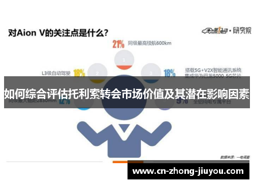 如何综合评估托利索转会市场价值及其潜在影响因素 如何综合评估托利索转会市场价值及其潜在影响因素