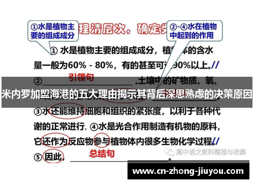 米内罗加盟海港的五大理由揭示其背后深思熟虑的决策原因 米内罗加盟海港的五大理由揭示其背后深思熟虑的决策原因