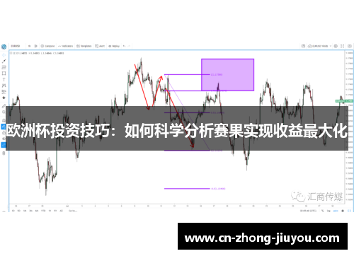 欧洲杯投资技巧：如何科学分析赛果实现收益最大化