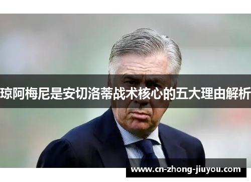 琼阿梅尼是安切洛蒂战术核心的五大理由解析 琼阿梅尼是安切洛蒂战术核心的五大理由解析